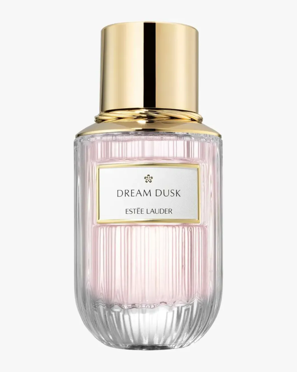 Dream Dusk EdP