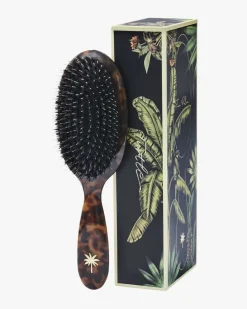 Hair Brush Medium Turtle
